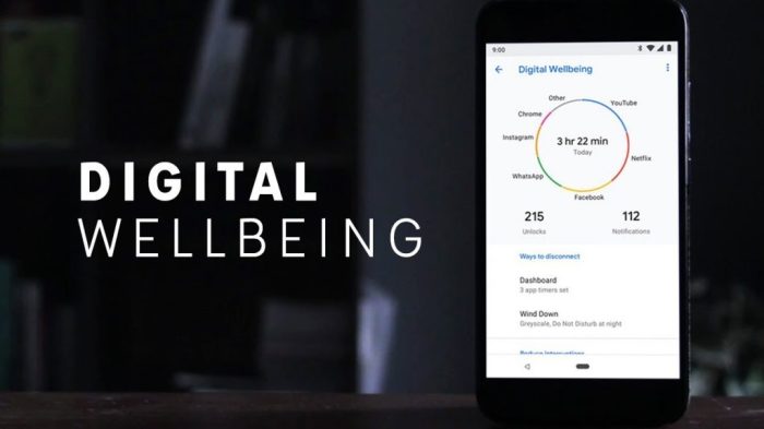 A guide to Google's Digital Wellbeing - Android Authority